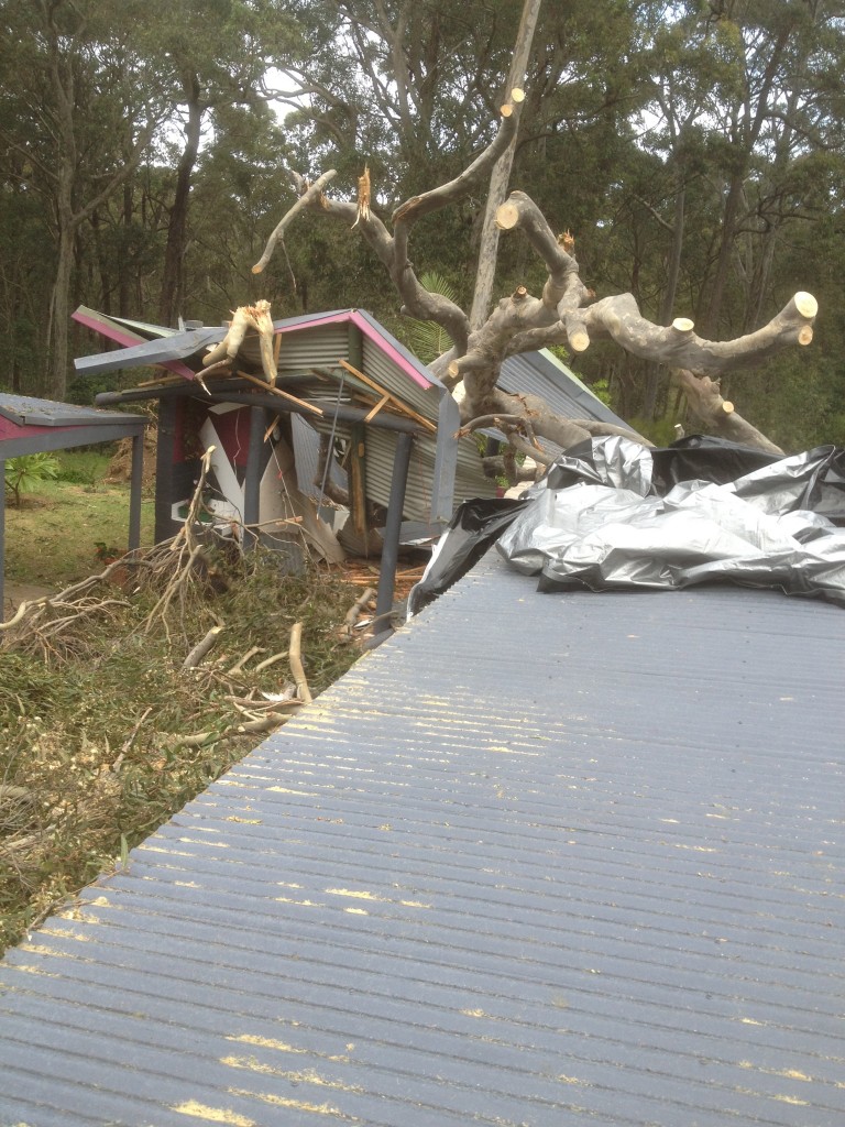 Damaged pergola